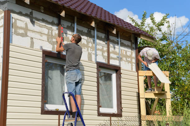 Best Stone Veneer Siding  in Cibecue, AZ